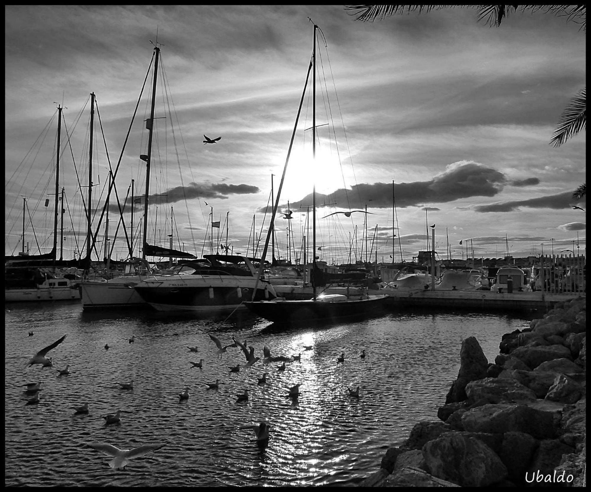 Brisas Del Mar Villa Caleta De Velez Buitenkant foto